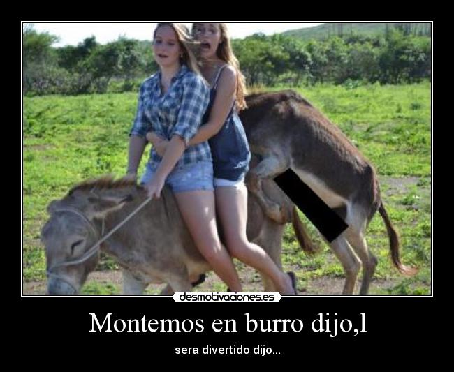 Montemos en burro dijo,l -