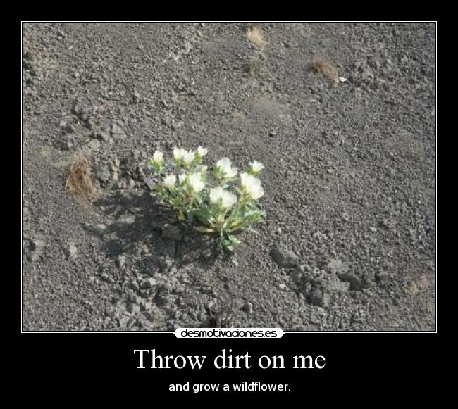 Throw dirt on me - and grow a wildflower.