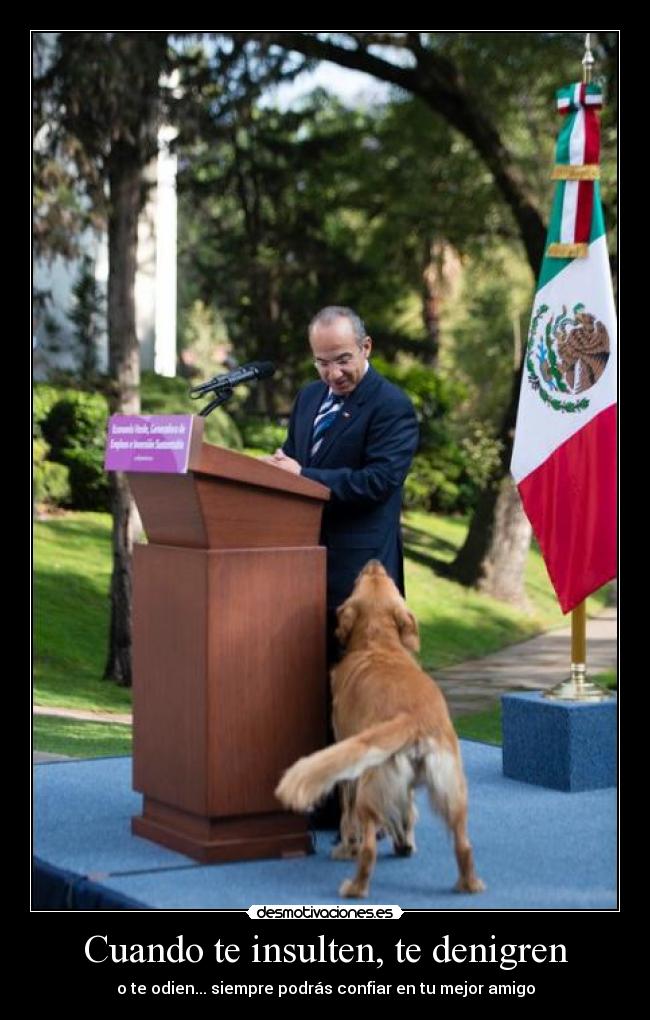 Cuando te insulten, te denigren - 