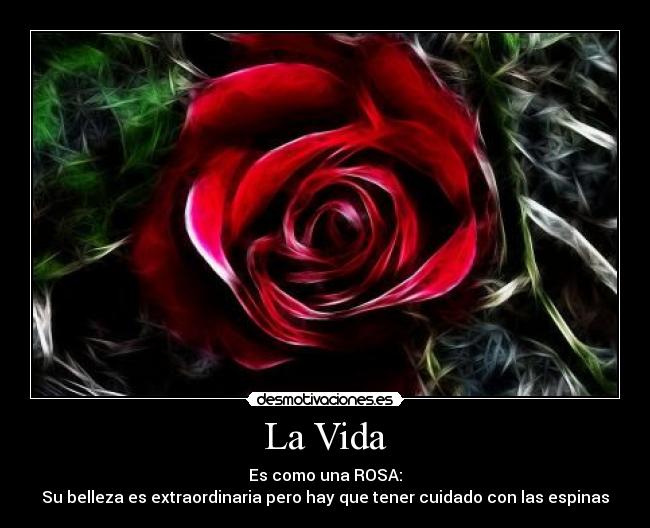 La Vida - Es como una ROSA:
Su belleza es extraordinaria pero hay que tener cuidado con las espinas