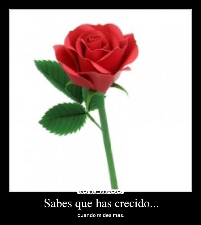 carteles desmomanada naxmet parche conoces que esto idiota desmotivaciones