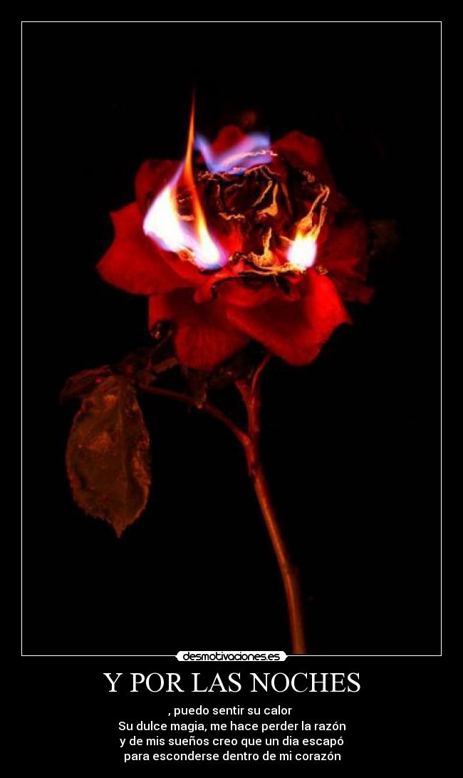 Y POR LAS NOCHES - , puedo sentir su calor
Su dulce magia, me hace perder la razón
y de mis sueños creo que un dia escapó
para esconderse dentro de mi corazón