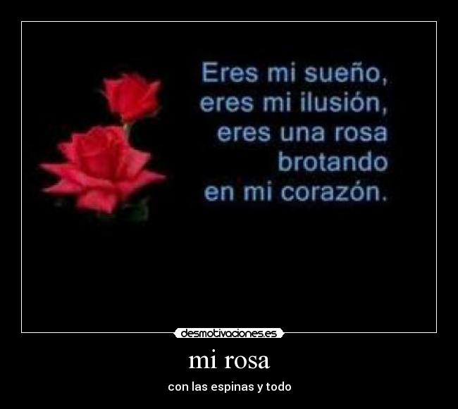 mi rosa -
