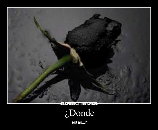 ¿Donde - estás...?