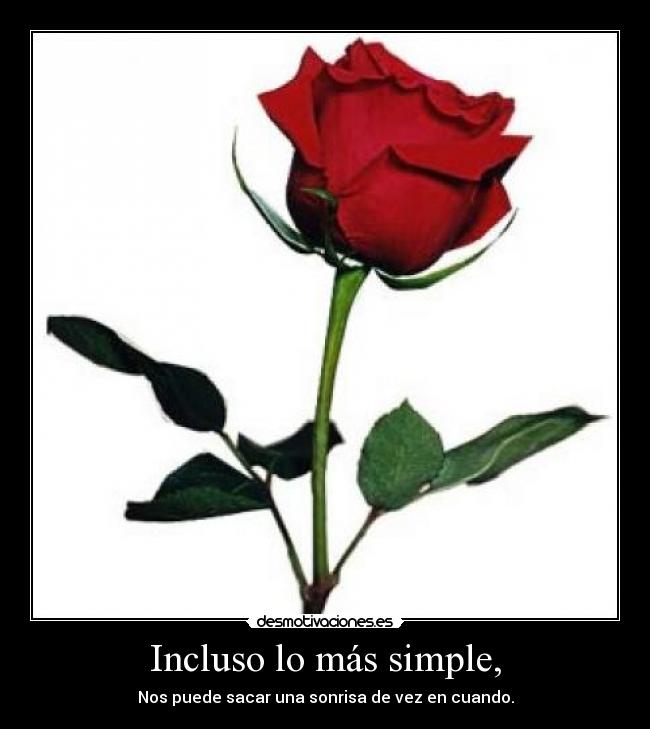 Incluso lo más simple, - Nos puede sacar una sonrisa de vez en cuando.