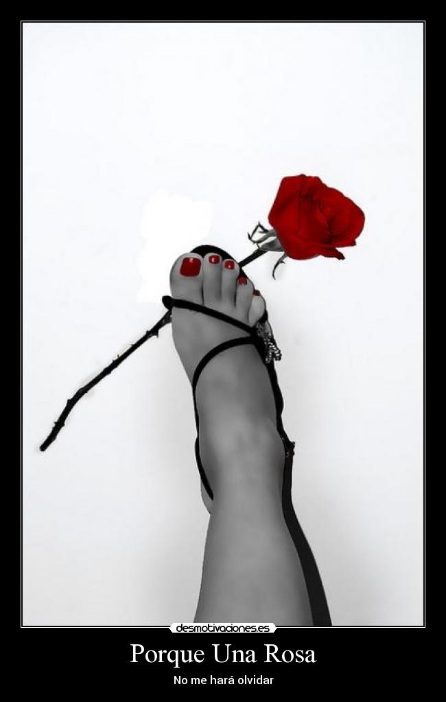 Porque Una Rosa - 