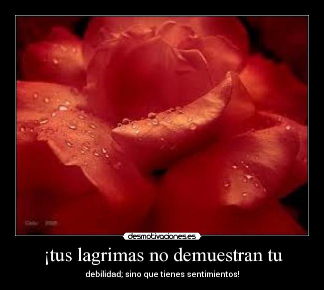 ¡tus lagrimas no demuestran tu -