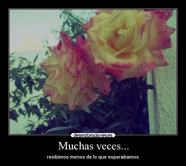 Muchas veces... - 