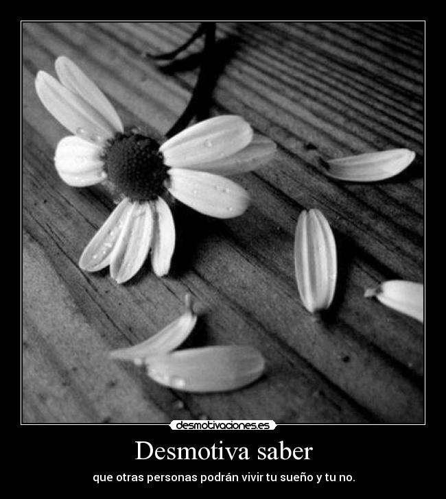 carteles sueno los suenos cumplen desmotiva saber vivir desmotivaciones