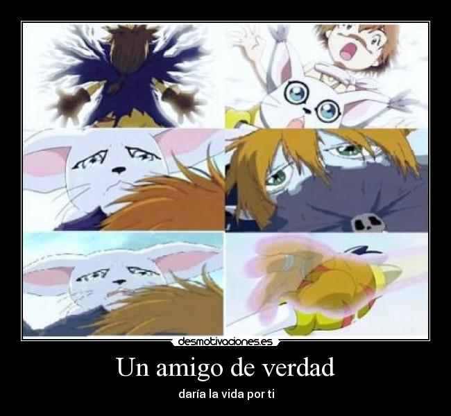 Un amigo de verdad - daría la vida por ti