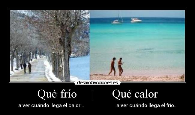 carteles fuck logic desmotivaciones