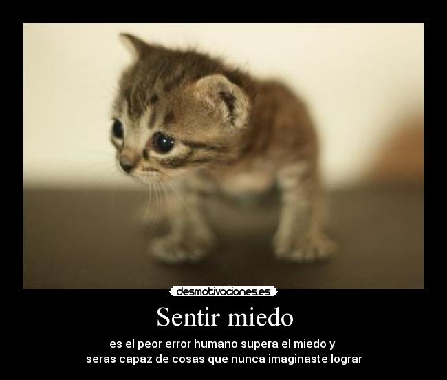 Sentir miedo - es el peor error humano supera el miedo y 
seras capaz de cosas que nunca imaginaste lograr