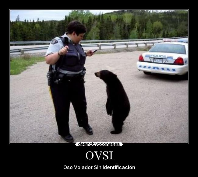 OVSI - Oso Volador Sin Identificación