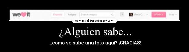 ¿Alguien sabe... - 