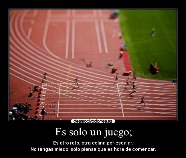 carteles cualquier animal corre pero pocos vuelan son aun menos los capaces correr como volaran desmotivaciones