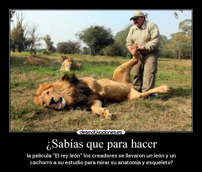 ¿Sabías que para hacer -