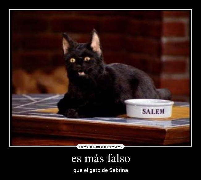 es más falso - que el gato de Sabrina
