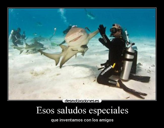 Esos saludos especiales - 