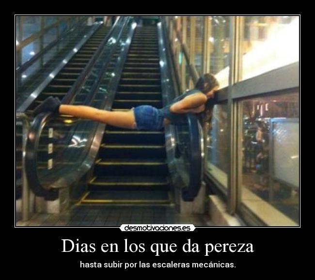 Dias en los que da pereza -
