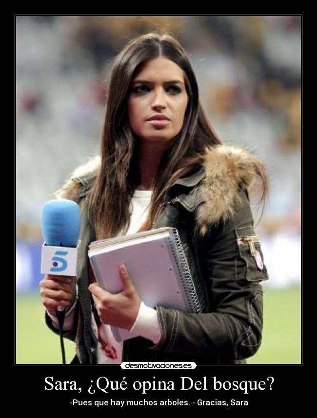 Sara, ¿Qué opina Del bosque? - -Pues que hay muchos arboles. - Gracias, Sara