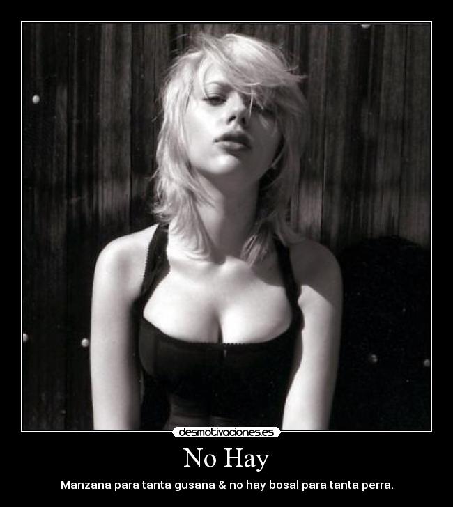 No Hay - Manzana para tanta gusana & no hay bosal para tanta perra.