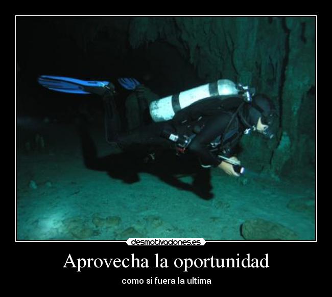 carteles nona98 desmotivaciones