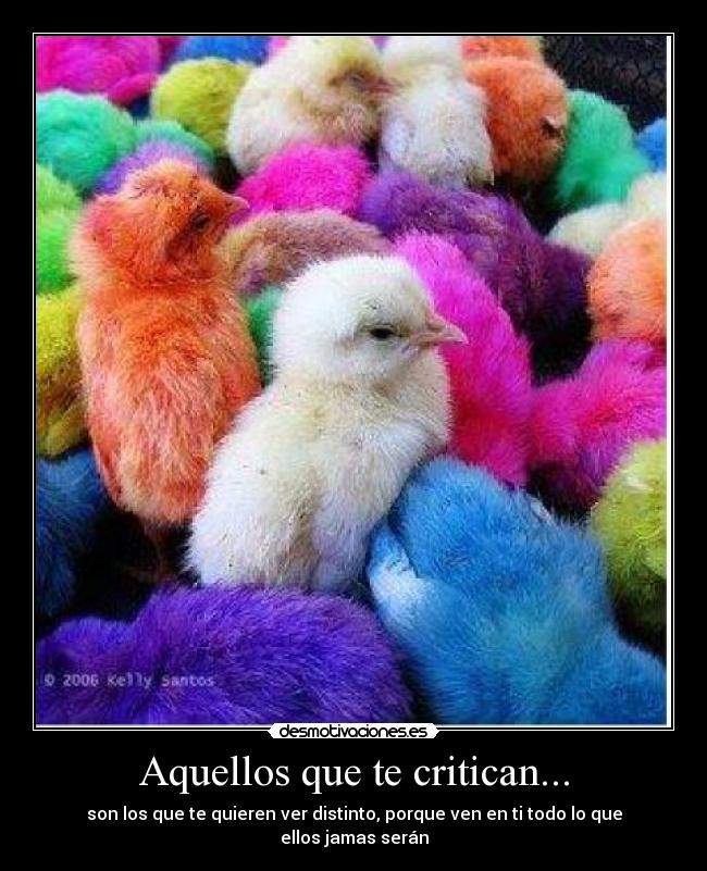 Aquellos que te critican... - 