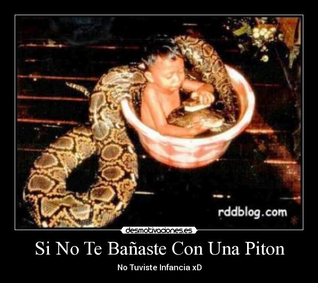Si No Te Bañaste Con Una Piton - No Tuviste Infancia xD