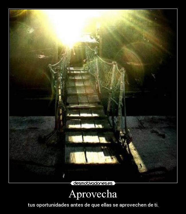 Aprovecha - tus oportunidades antes de que ellas se aprovechen de ti.