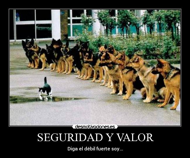 SEGURIDAD Y VALOR - Diga el débil fuerte soy...