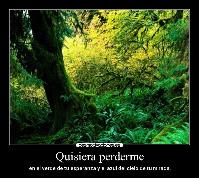 Quisiera perderme - en el verde de tu esperanza y el azul del cielo de tu mirada.