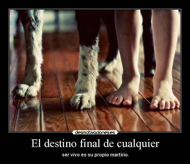 El destino final de cualquier -