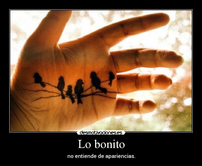 Lo bonito - no entiende de apariencias.