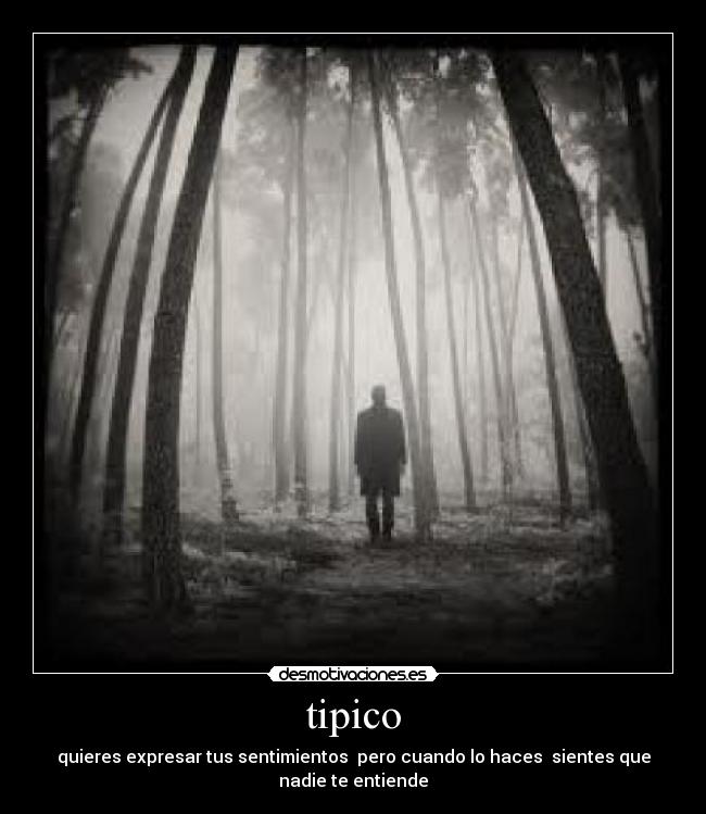 tipico - 