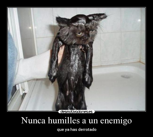 Nunca humilles a un enemigo -