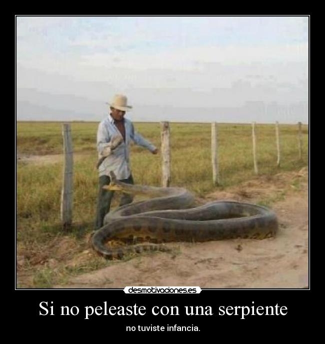 carteles infancia desmotivaciones