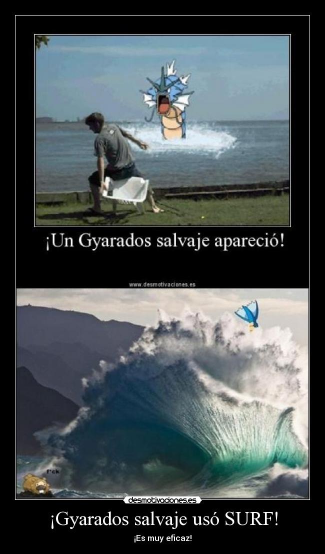 ¡Gyarados salvaje usó SURF! - 