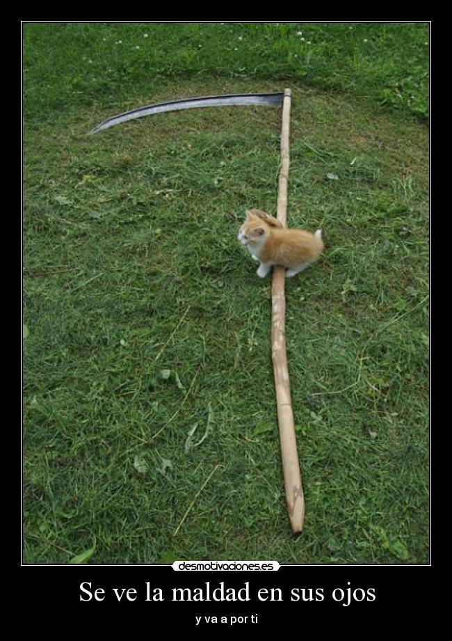 Se ve la maldad en sus ojos - 