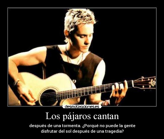 Los pájaros cantan - después de una tormenta. ¿Porqué no puede la gente
disfrutar del sol después de una tragedia?