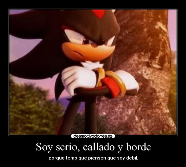 carteles shadow the hedgehog desmotivaciones