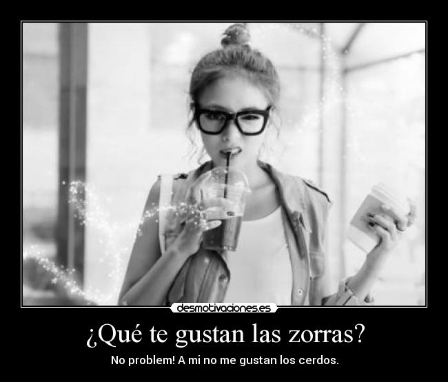 ¿Qué te gustan las zorras? - No problem! A mi no me gustan los cerdos.