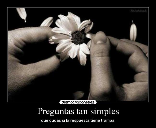 carteles que color caballo blanco santiago negro desmotivaciones