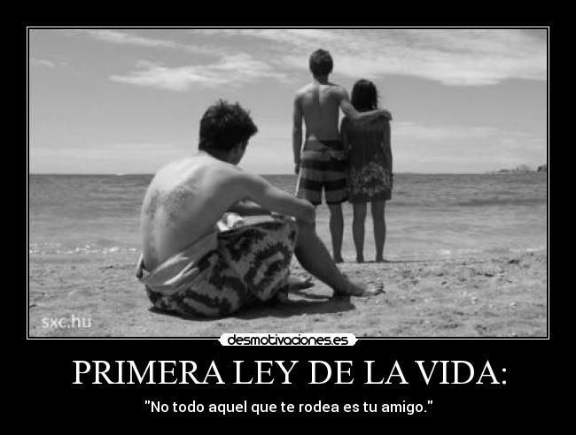 PRIMERA LEY DE LA VIDA: - No todo aquel que te rodea es tu amigo.