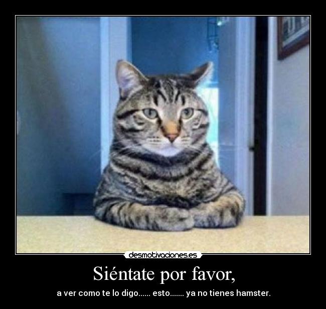 Siéntate por favor, - a ver como te lo digo...... esto....... ya no tienes hamster.