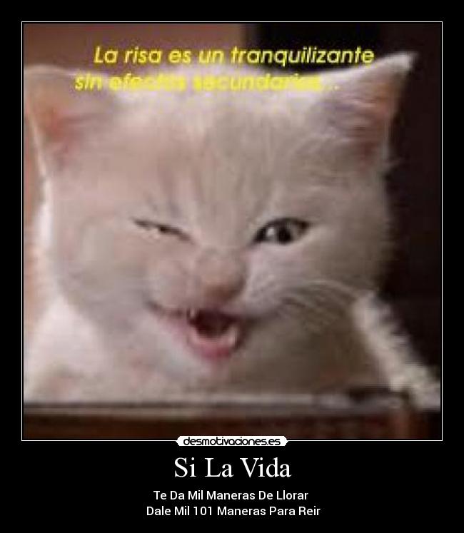 Si La Vida -