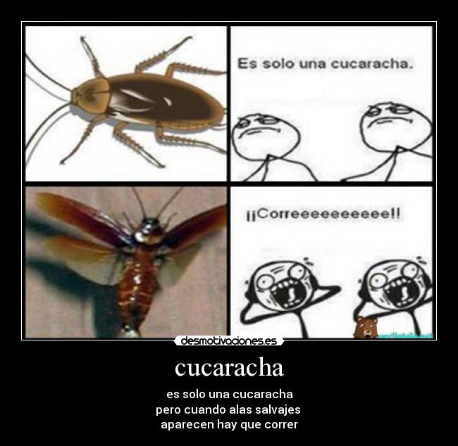 cucaracha - es solo una cucaracha
pero cuando alas salvajes 
aparecen hay que correr