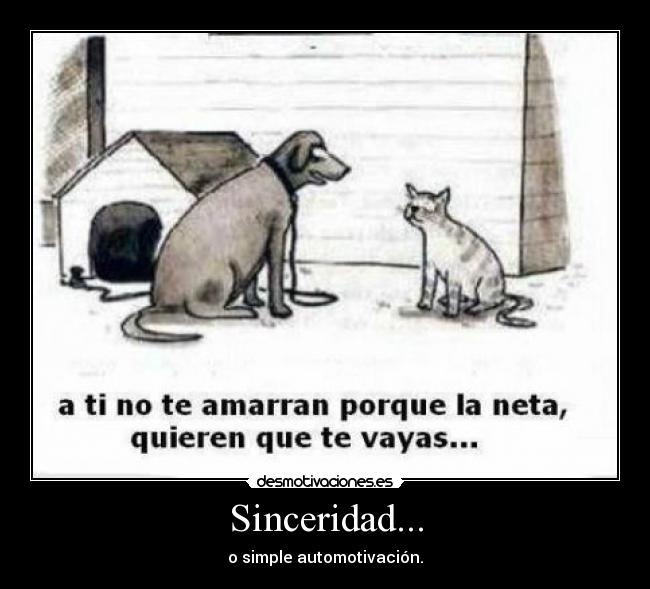 Sinceridad... -
