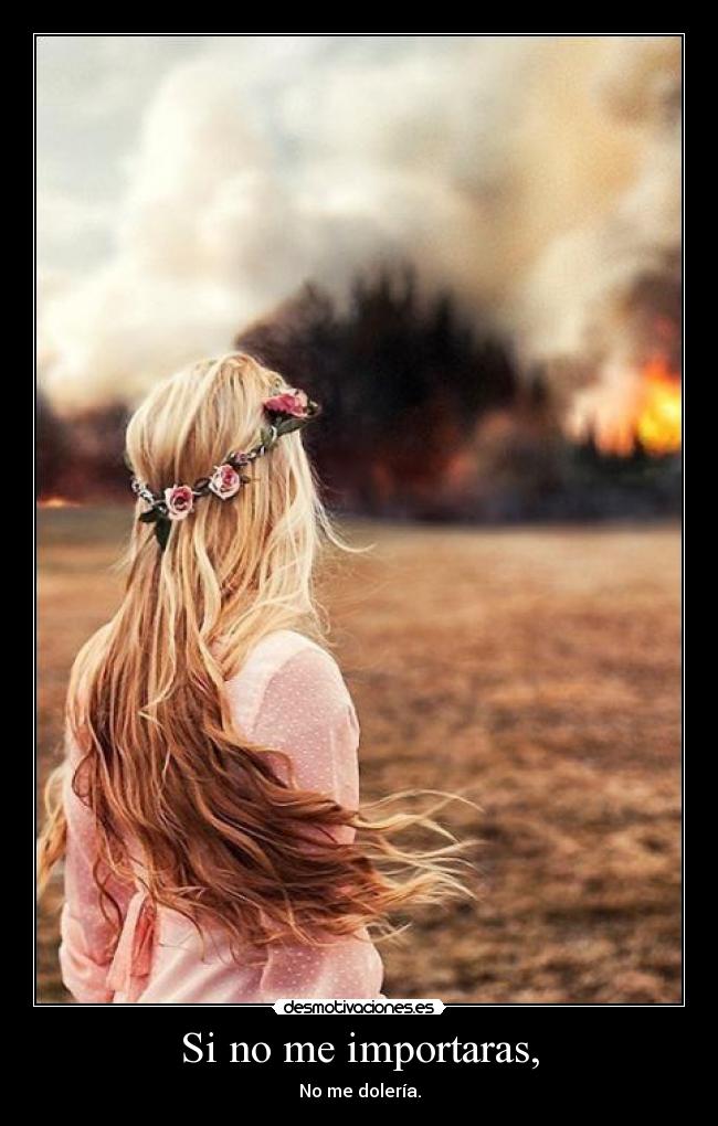 carteles love desmotivaciones