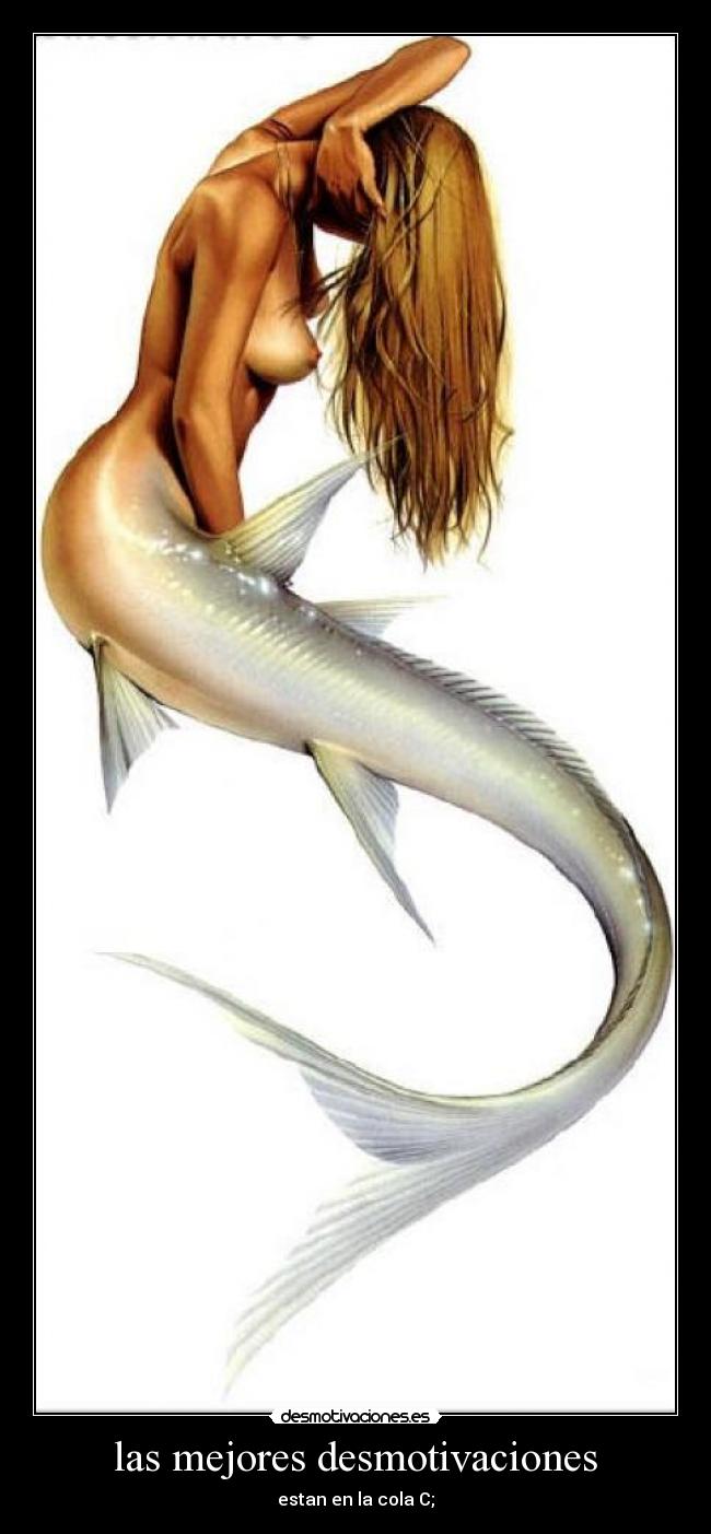 las mejores desmotivaciones -