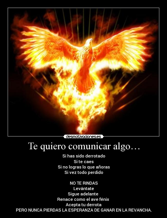 carteles gato intruders crazyclub clanreyleon rendire aun queda una posibilidad desmotivaciones